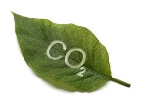 CO2 экстракция