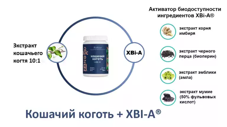 Экстракт кошачьего когтя AGenYZ